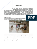 Assam Flood: Incident