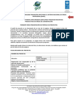 PERFILES DE PROYECTOS.doc