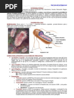 Download E Coli y otras Enterobacterias by Jos Gabriel Quiroga Villagra SN37521966 doc pdf