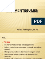 SISTEM INTEGUMEN.ppt