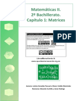 BC2 01 Matrices