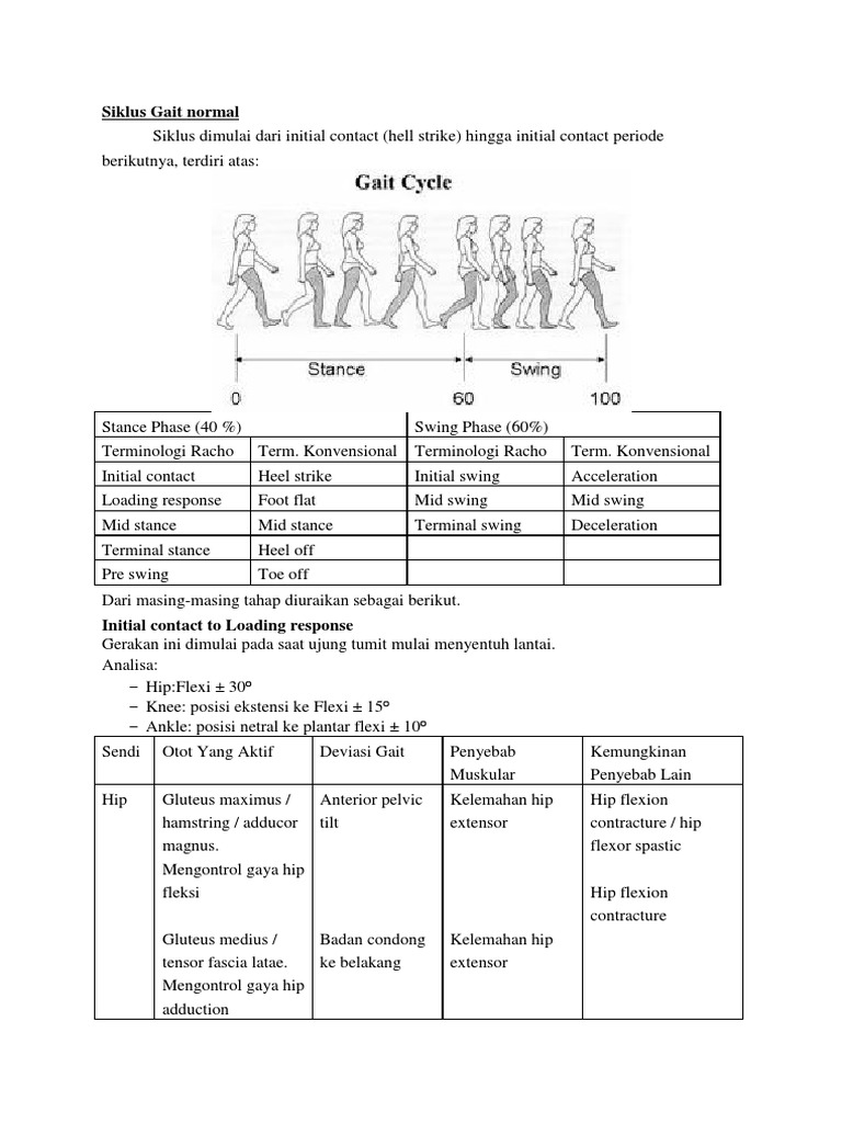 Analisis Siklus Gait Normal | PDF