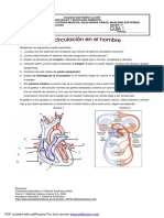 Anexo 2Y3 Guía 1-Septimo LA CIRCULACIÓN EN EL HOMBRE PDF