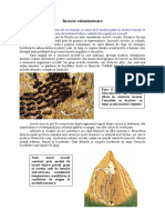 Animale si plante - 0115-0118 - Insecte colonizatoare.pdf