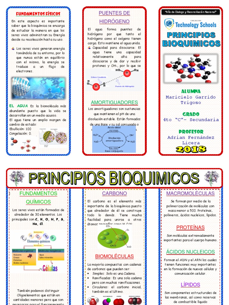 Triptico Principios de La Bioquimica Hidrógeno Organismos Prueba gratuita de 30 días Scribd