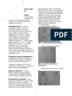 Medicinsko Nazivlje I Postupci, Nastavni Tekst