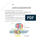 Bioca L Bloque 4 Discu 3