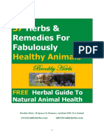 37 Herbs Remedies For Fabulously Healthy Animals