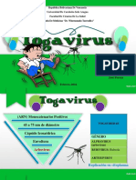 Togavirus - Copy.pdf