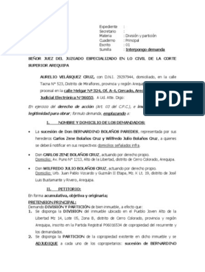 Demanda de División y Partición | PDF | Condominio | Demanda judicial