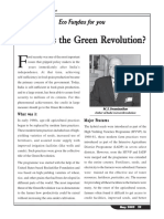 What was the Green Revolution