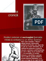 Durerea Cronica - Prezentare