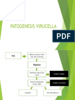 PATOGENESIS VIRUCELLA