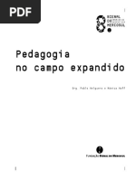 Pedagogia No Campo Expandido 
