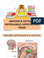 Anatomi & Histologi Hipotalamus, Hipofise, Dan Tiroid