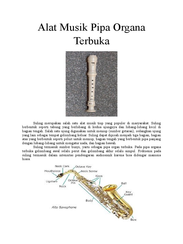 Alat Musik Pipa Organa Terbuka