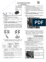 Banco-Icfes-Evolucion.doc