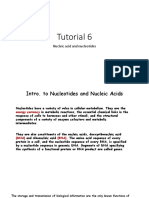 Nucleic Acids Tutorial - DNA, RNA Structure & Function (40