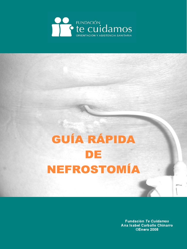 Guia Rapida Nefrostomia | PDF | Orina | Sistema urinario