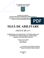 A. Iacob - Rezumat Teza de Abilitate