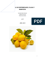 962958476.EL LIMON, SUS ENFERMEDADES, BACTERIAS Y BENEFICIOS.pdf