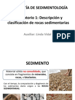 Rocas Sedimentarias