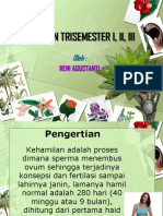 Kehamilan Trisemester I,II,III