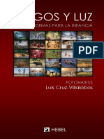 2014 - JUEGOS Y LUZ - LuisCruzVillalobos.pdf