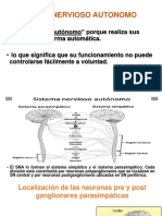 Sistema Nervioso Autonomo