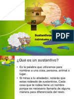 Sustantivos Individuales y Colectivos