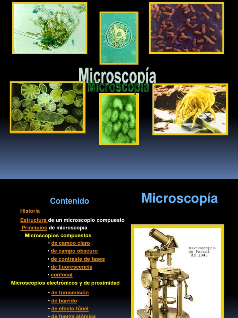 Guía Completa sobre Microscopía | PDF | Microscopio de efecto túnel ...