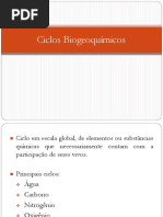 ciclos biogeoquímicos