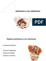 Bases Anatomicas y Biomecanicas de La Pelvis 2