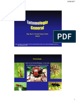 Diapos de Clase de Entomología General 1 y 2