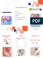 Leaflet Appendicitis