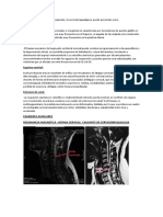 Formas de Presentación Clínicamente