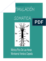 13 Estimulación Somática y Vestibular PDF