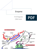 Day 9-Enzyme new.ppt