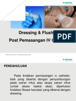 Perawatan IV Catheter