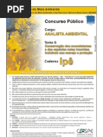 TEMA 5 ANAL AMB CONS ECOS IPE