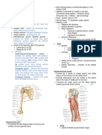 2.08 Brachial Region (Arm) - Compartments, Muscles, Nerves, and Vessels.docx