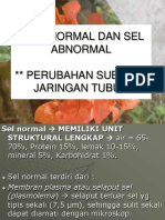 Sel Normal Dan sel Abnormal