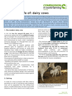 The Life of Dairy Cows PDF