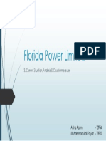 Florida Power Limited: 3. Current Situation, Analysis & Countermeasures
