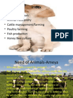 Download Animal Husbandry Ppt by Ameya Virkud SN37535597 doc pdf