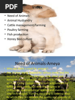 Download Animal Husbandry Ppt by Ameya Virkud SN37535597 doc pdf