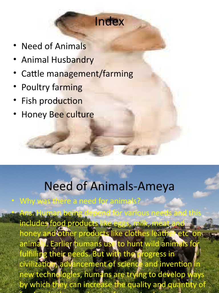 animal husbandry essay answer