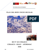 Plan Del Buen Inicio