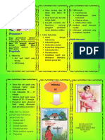 Leaflet Prematur