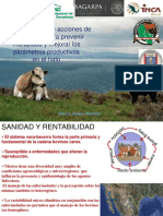 1_Acciones_salud_animal (1).pdf